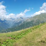 Alpe Colli